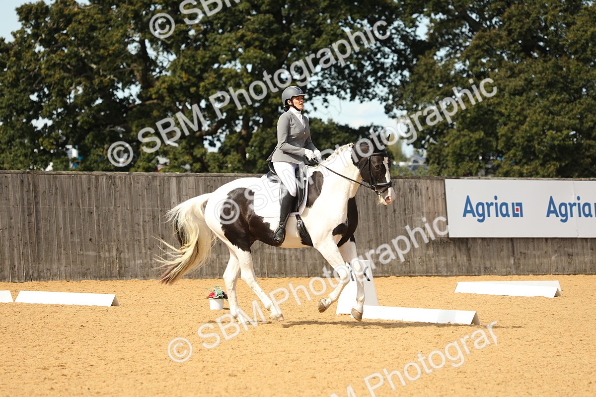 SBM_22234 - D17 - Grand Tour Championship - Novice 27