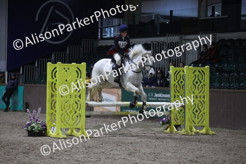 20260125-5199 - Class 5 - 80cm