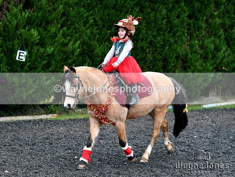 WJ5_3581 - Tanners Christmas Yard Fun 23-12-24