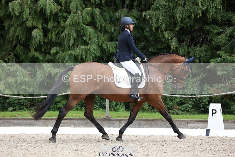 230812-150212-05034 - Cls 5 Novice Bronze 15.00 to End