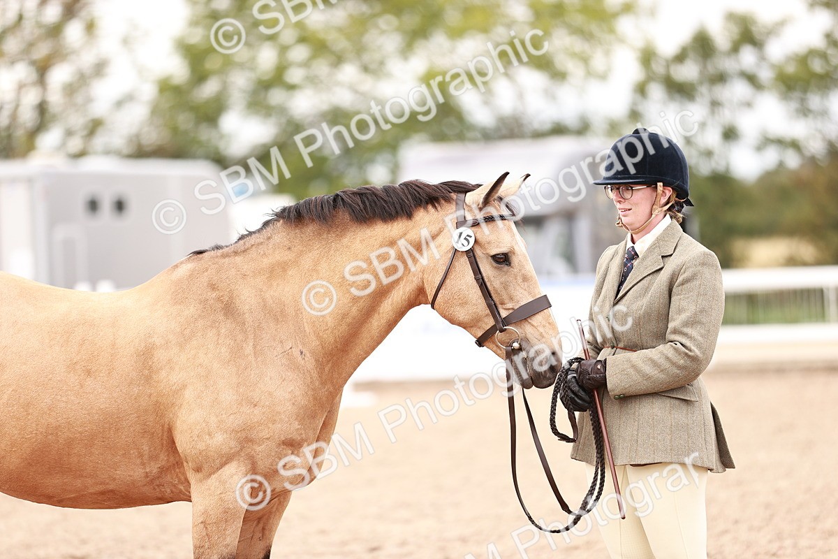 SBM_16131 - Class 411 - Prettiest Mare - (IH or Ridden Adult)