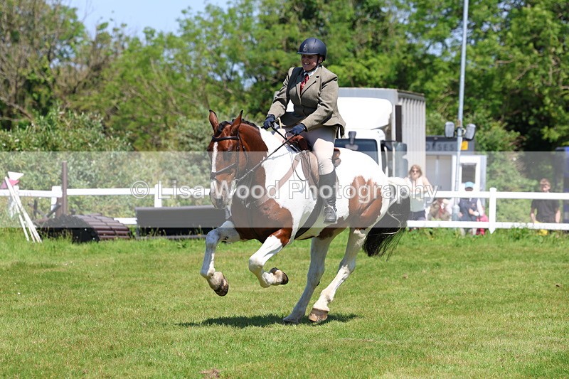 3E7A7266 - Class 30: Novice Working Hunter