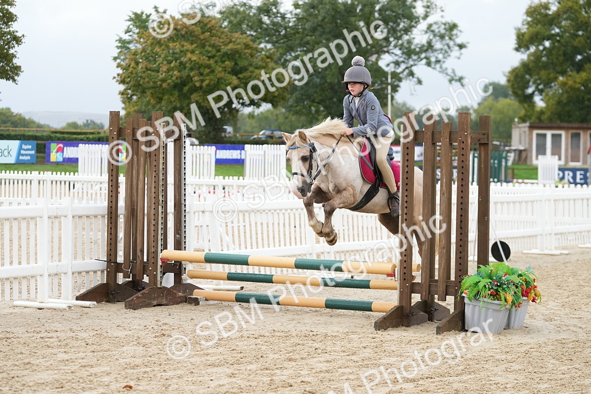 SBM_32372 - J5 - Junior Pony 50cm Championship