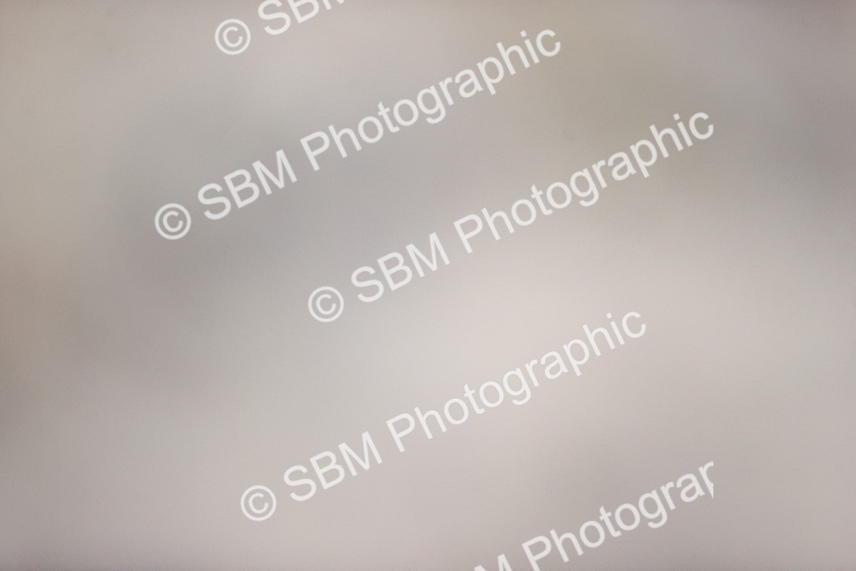 SBM_004221 - SJ - 90cm