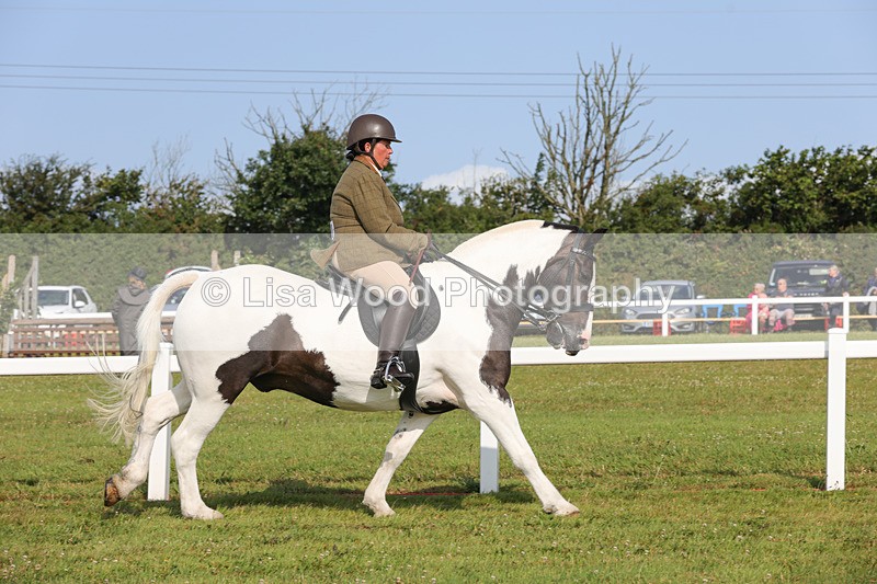 1X9A3236 - Class 28: Ridden Native/Trad Coloured Pony