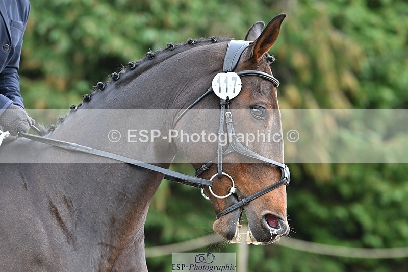 231019-124117-03175 - 117-DERG.FASCINATION-Frederica.Finch-DR