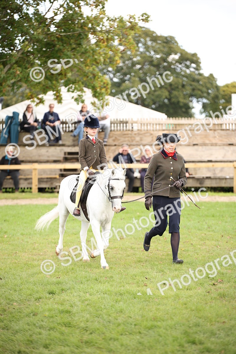 SBM_50011 - S26 - Young Veteran - Ridden