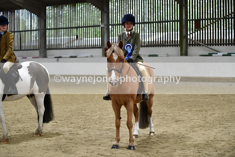 WJ5_7369 - Class 11 Ridden PC - RC Pony