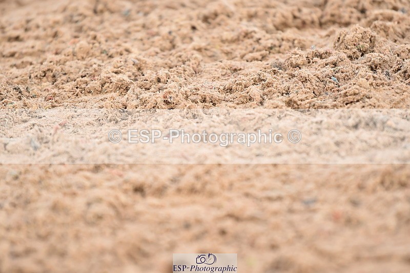 231029A-125154-03329 - Pony 1.15m & 1.20m