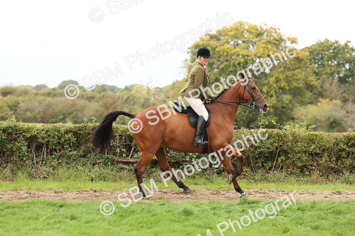 SBM_66434 - S66 - Hunter Ridden