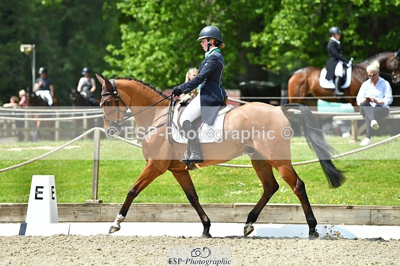 230525-120502-04164 - 206-MEXICAN_WAVE-Daisy_Bathe-WEDTrotUp+DR