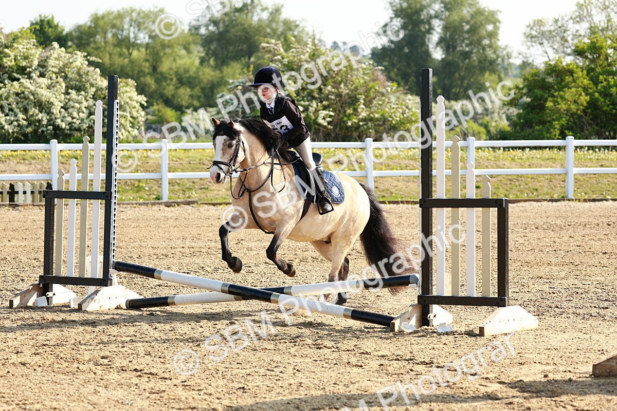 SBM_006230 - Class 1 - 40cm