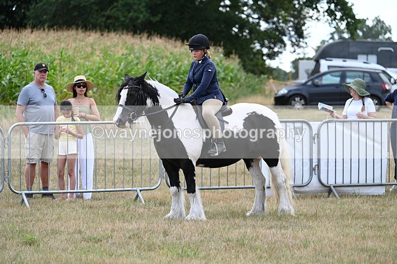 WJ7_5384 - Class 12 Ridden Cob