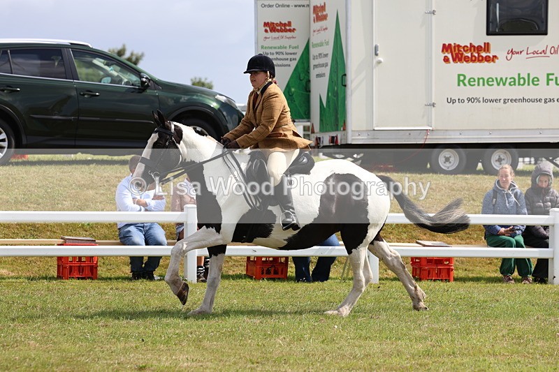 3E7A9810 - Class 5: Rising Star Lightweight/Heavyweight Cobs