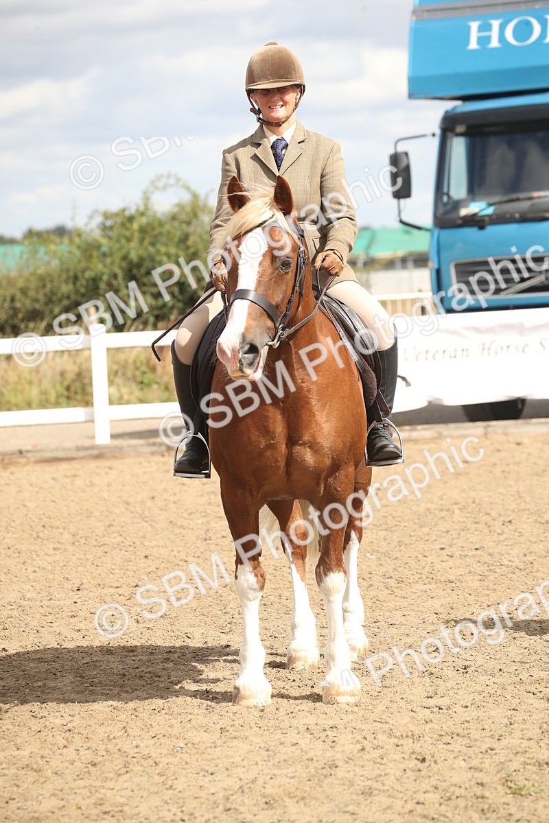 SBM_14570 - Class 505a - M&M Working Veteran - 50cm (15-19)