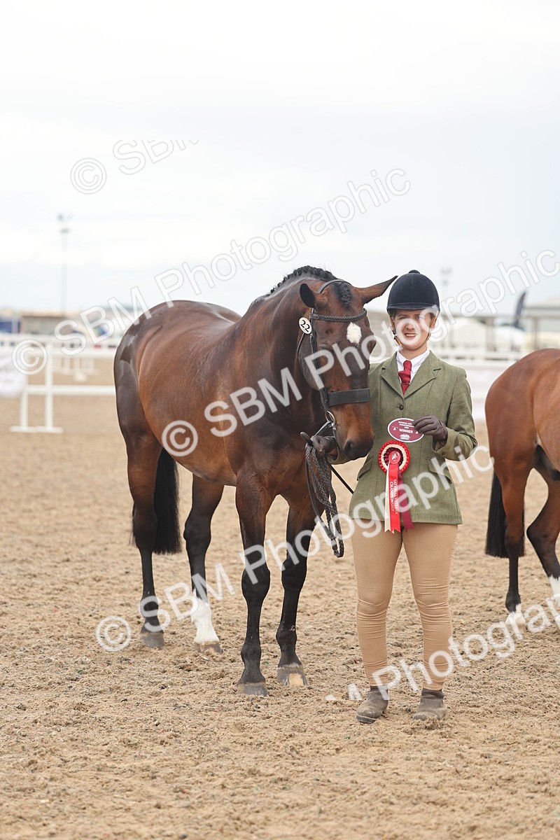 SBM_07936 - Class 28 - IH Veteran Horse