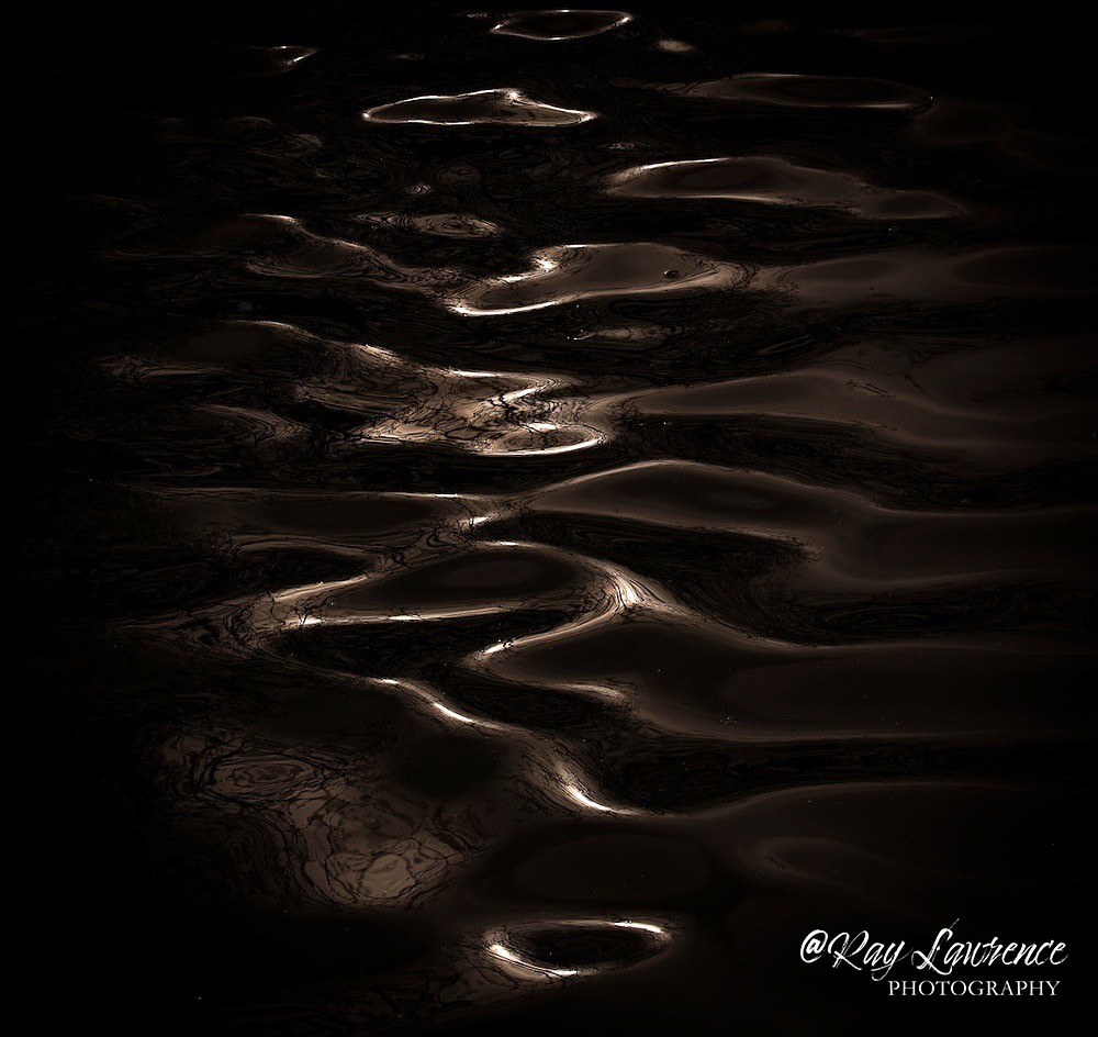 Dunes_RLP0091 - Double Take