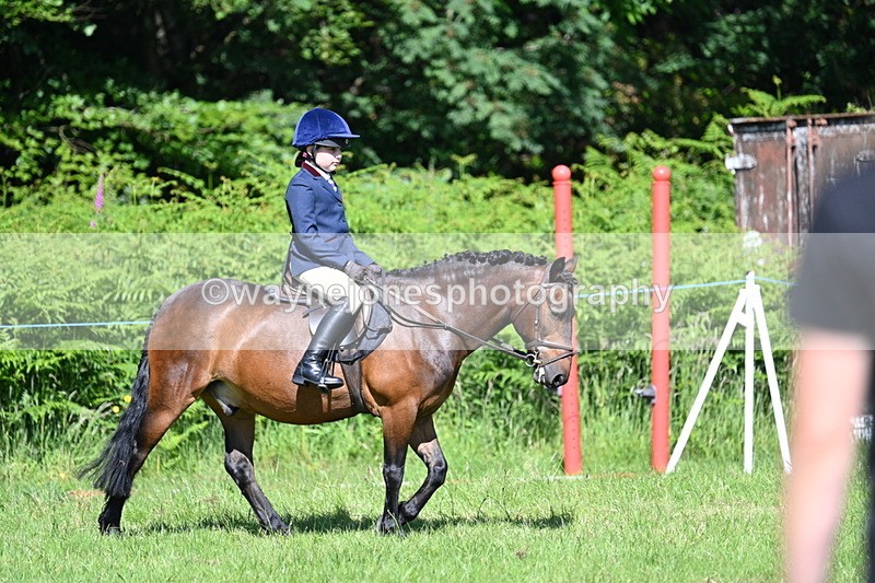 WJ7_0659 - Class 8 First Rally Pony