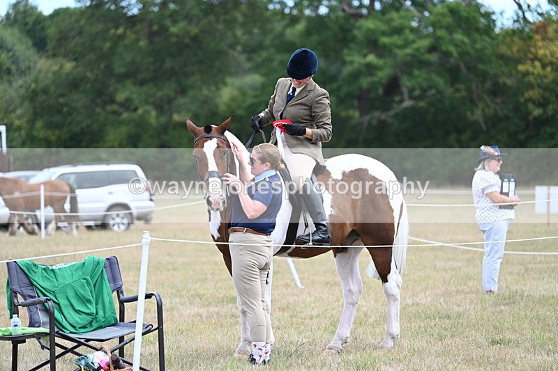 WJ7_5696 - Class 12 Ridden Cob