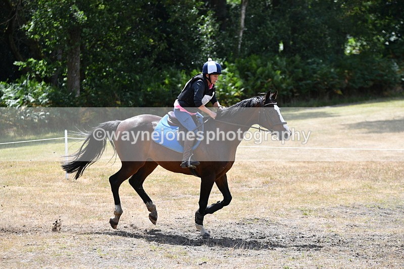 WJ5_9873 - Time 12:30 to 13:00