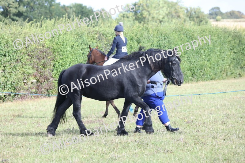 20250831-1320 - Class 21 - Inhand Open