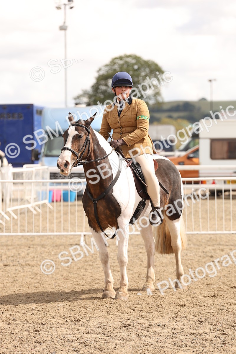 SBM_06115 - Class 57a -  Style & Performance - 60cm (15-19)