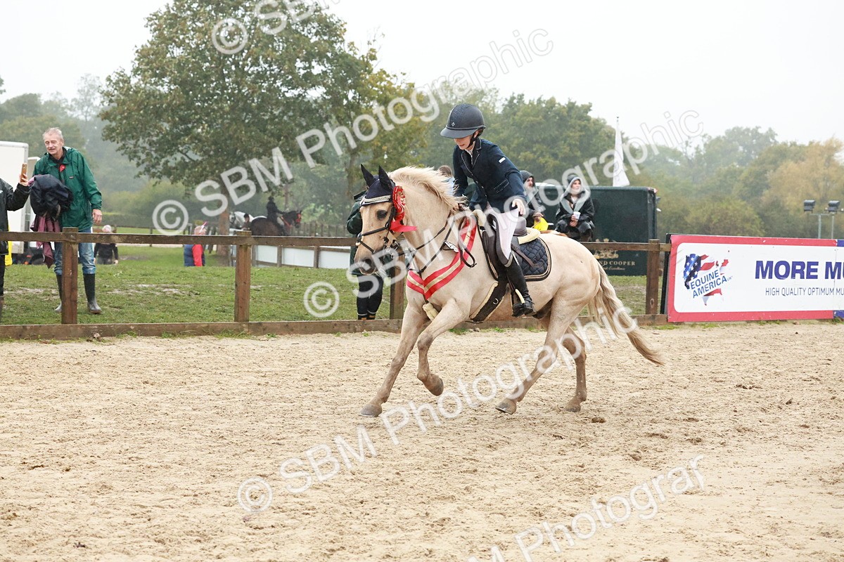 SBM_73655 - Supreme Championship Junior Pony 60cm & 65cm
