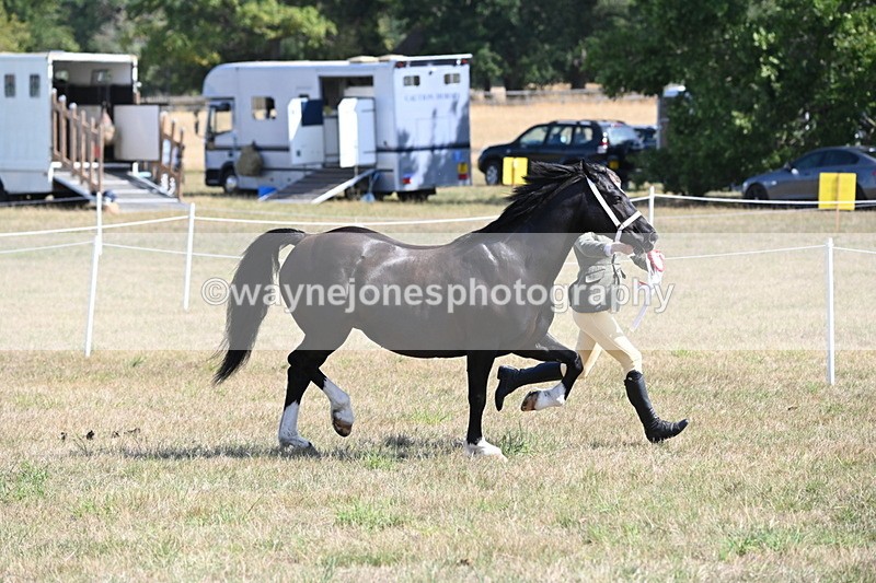WJ6_5108 - Class 17 Mountain & Moorland