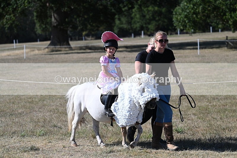 WJ7_2510 - Class 45 Fancy Dress (My Fav)