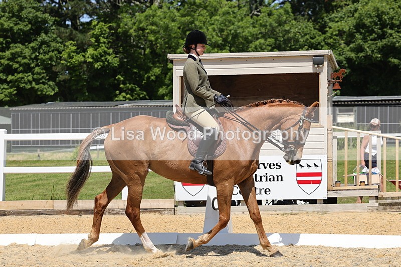 1X9A1806 - Class 12: Ridden Riding Horse/Hack