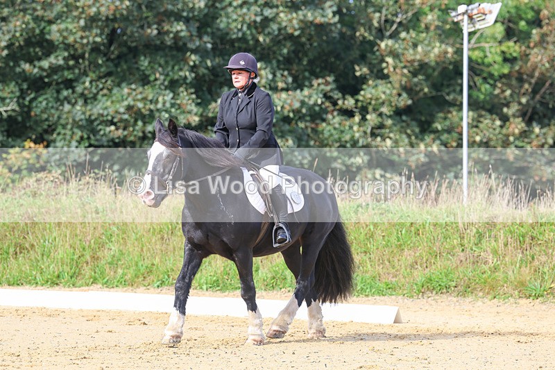 3E7A2289 - Class 1: Intro 4 2024 section A