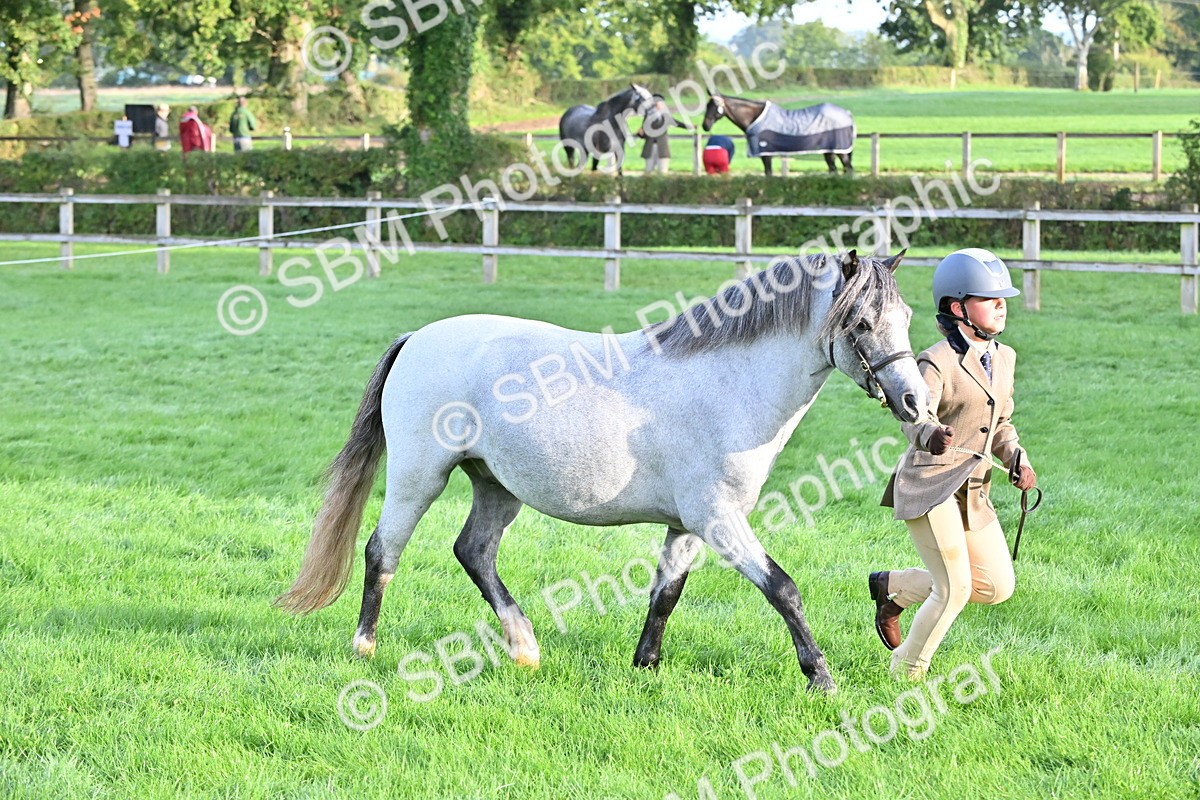 SBM_54622 - S44 - Youngstock In Hand