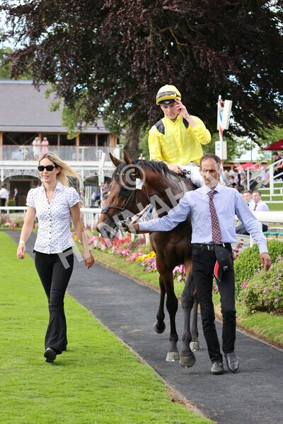 yr08072022r4-37 - Race 4 3.50pm William Hill Pick Your Places Stakes