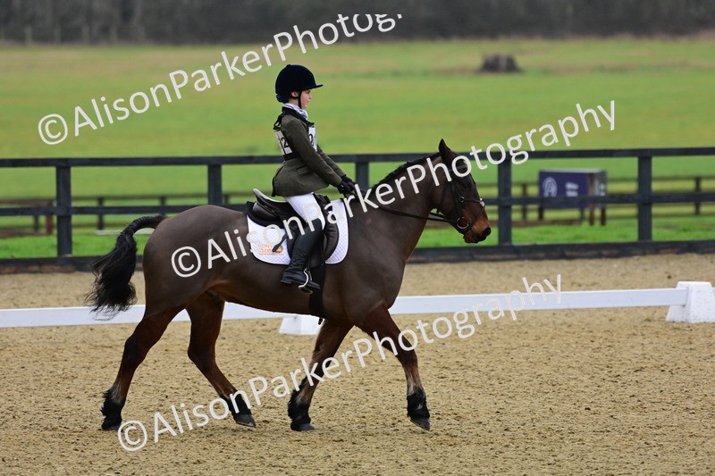 20260125-0618 - Class 9b - Walk Trot Unassisted