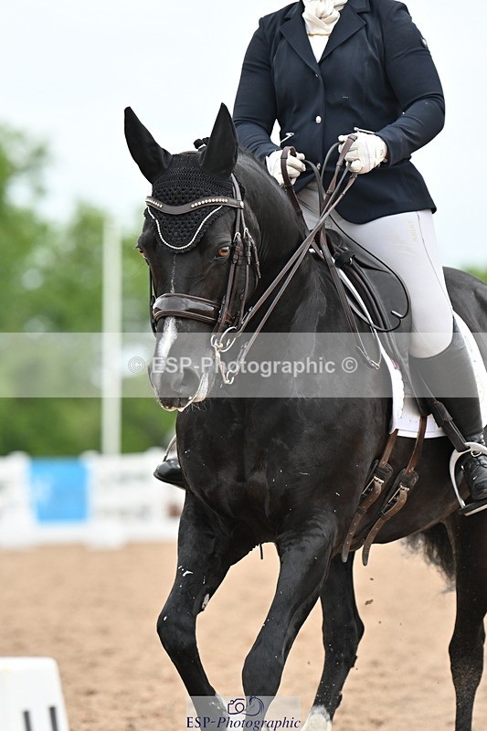 240623A-163433-19954 - Cls 54 BD Medium 73