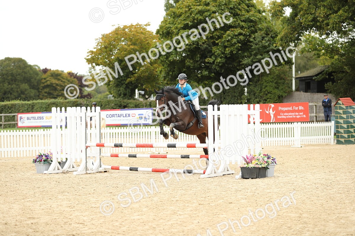 SBM_63065 - Supreme championship 75cm 80cm
