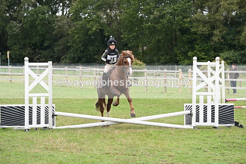 WJ6_0276 - 40cm Time 10:00 to 10:28