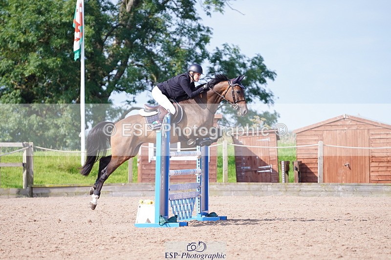 240802A-095002-03435 - Cls 15 Foxhunter