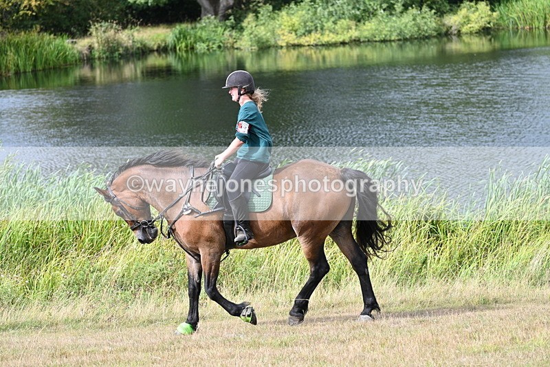 WJ7_4917 - Time 11:17 to 11:22