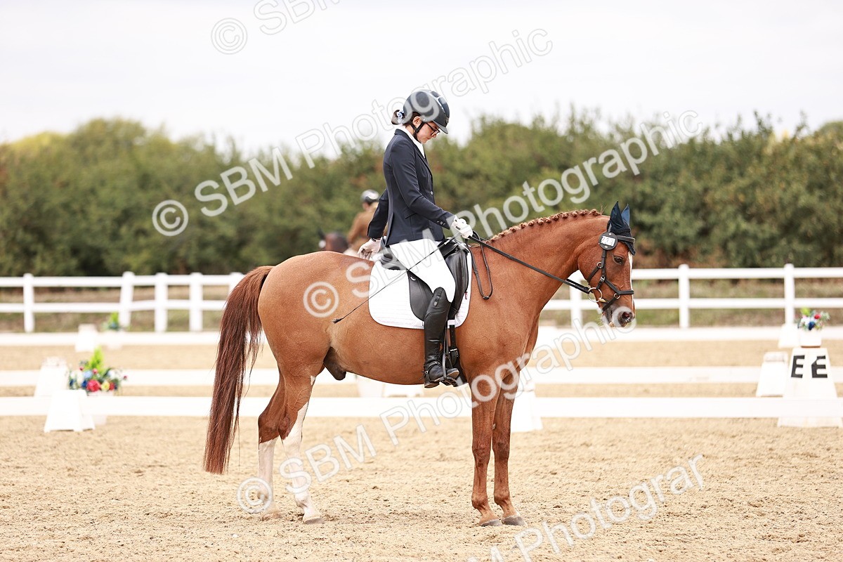 SBM_019287 - Class 20 - Medium 5