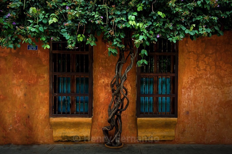  - Colours of Cartagena
