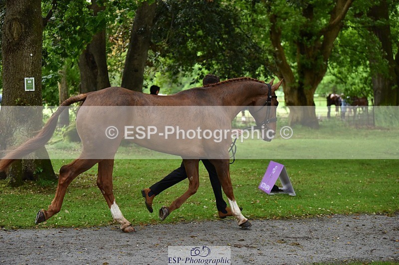 240522-161400-00803 - 159-WICKLOW_INTO_ORBIT-Lucy_Richards