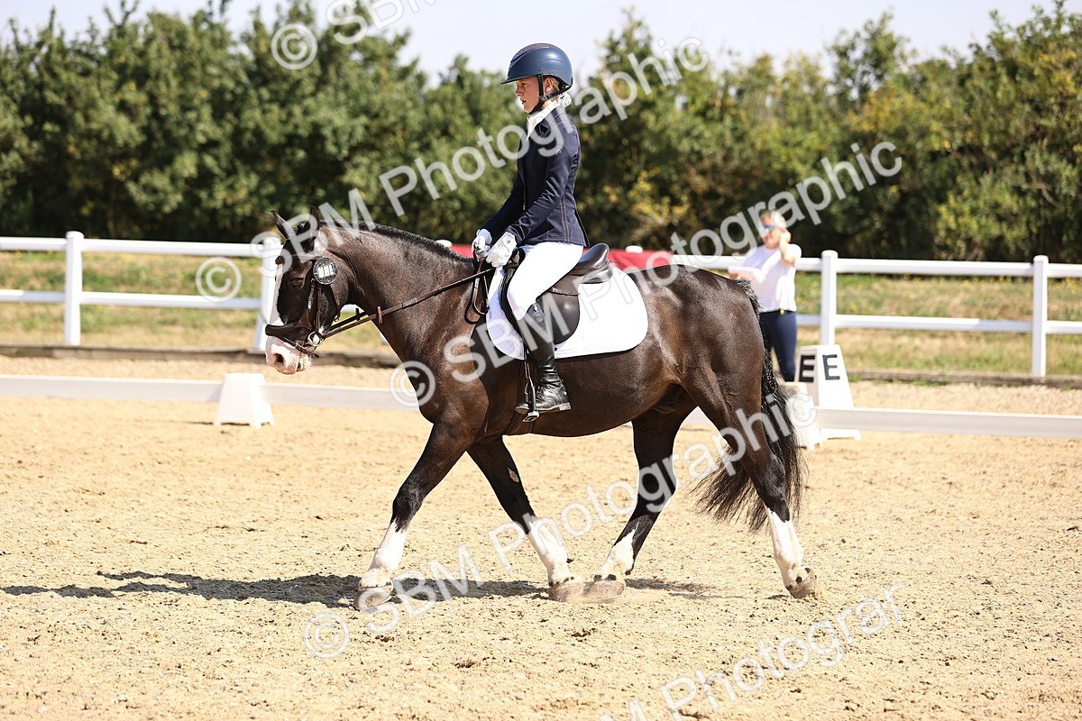 SBM_003549 - Intro 2