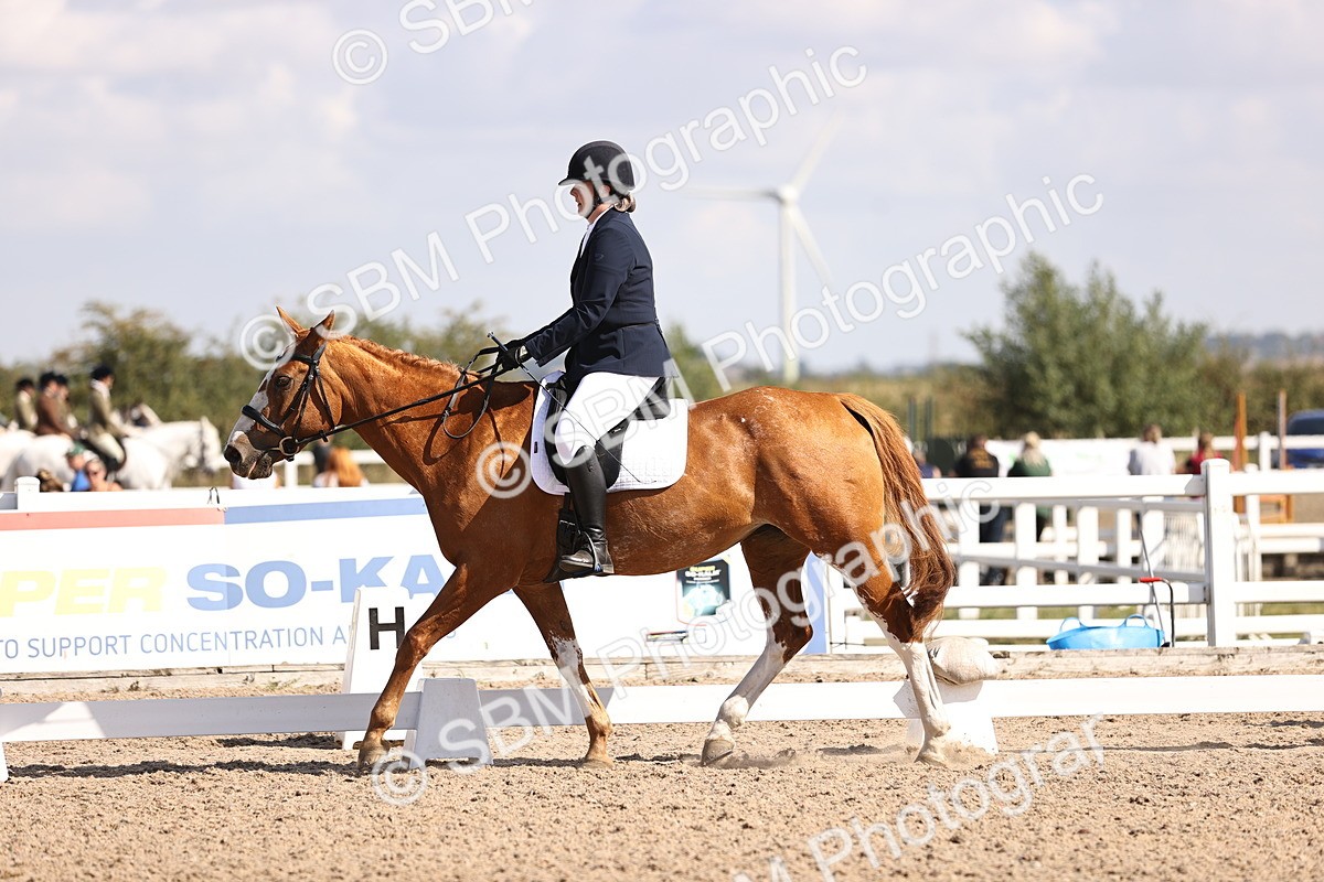 SBM_03550 - CLass 35 Intro 3