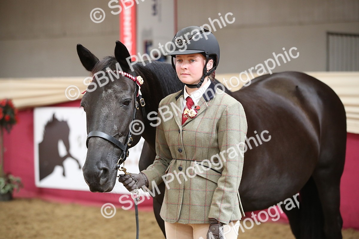 SBM_05312 - Class 8R - Regional IH Veteran