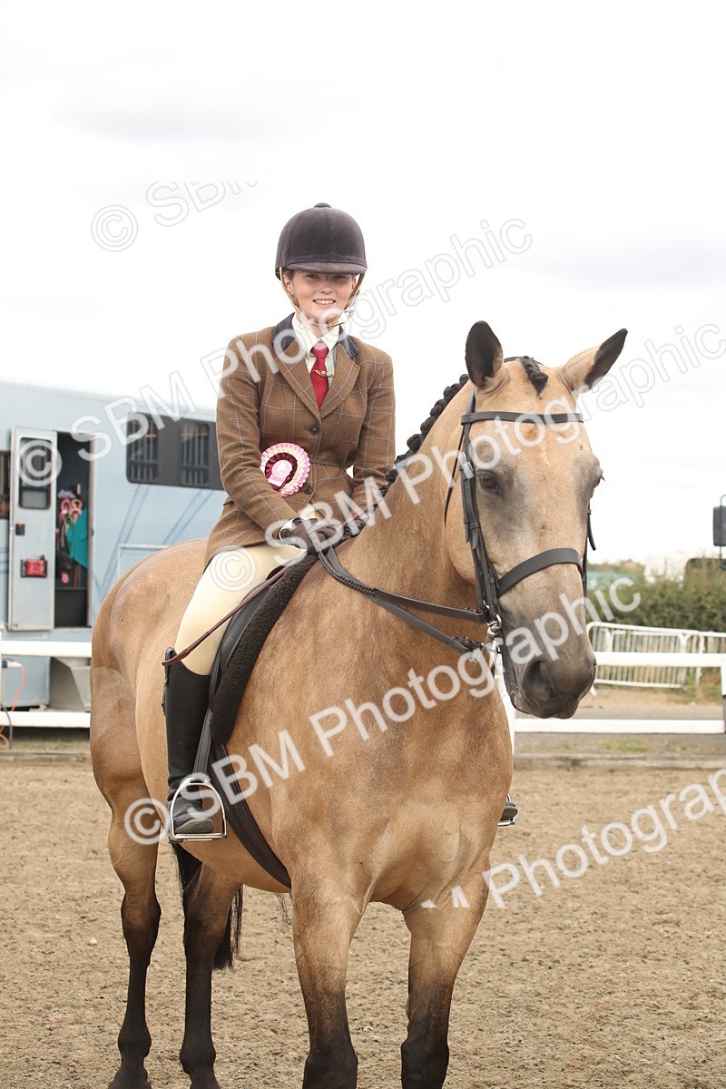 SBM_16706 - Class 507a - Working Veteran - 60cm (15-19)