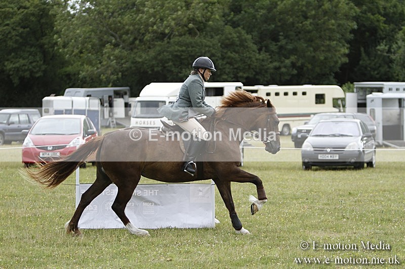 BVR160717-415 - Ring 3 BVRC Show 16/07/17