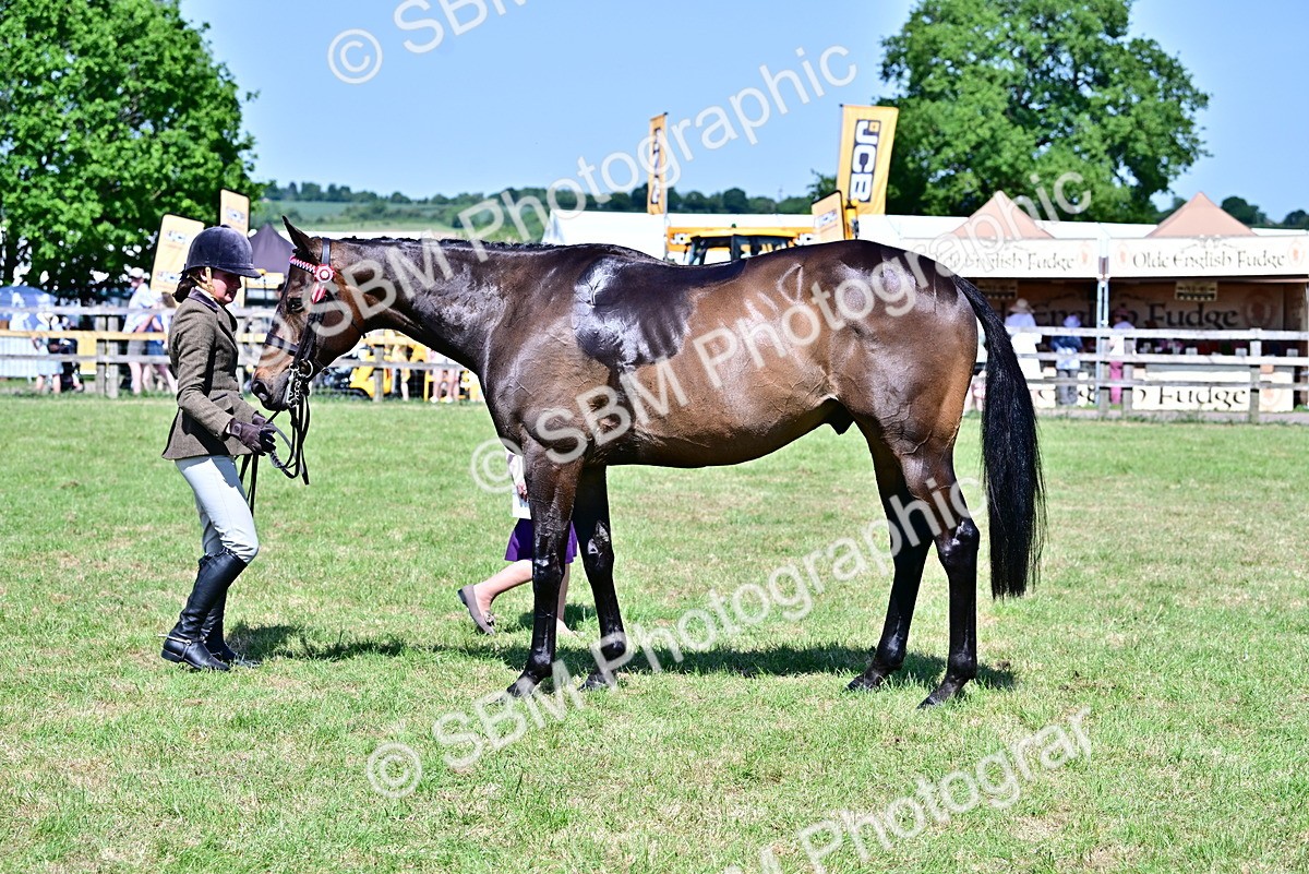 SBM_18237 - Class 99-100 - Retraining of Racehorses Ridden