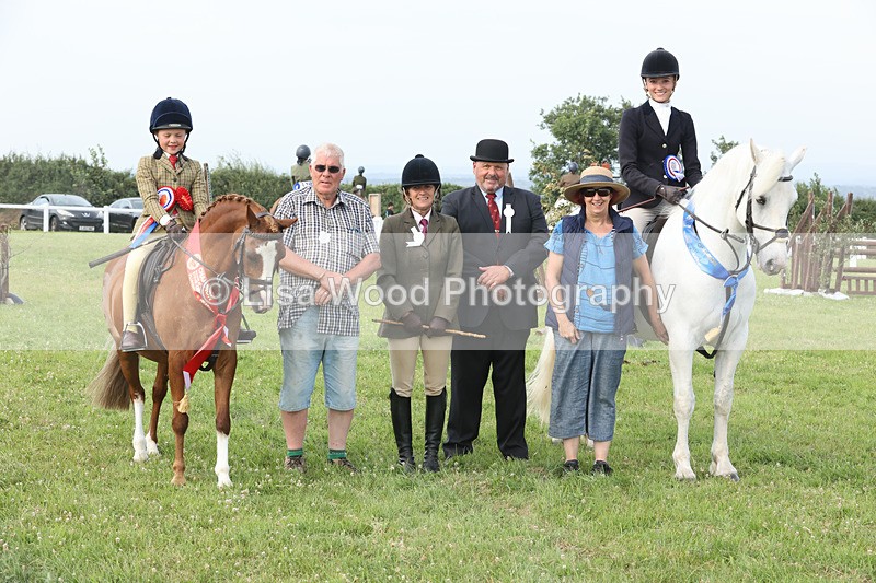 JPP_4816 - Working Hunter Championship