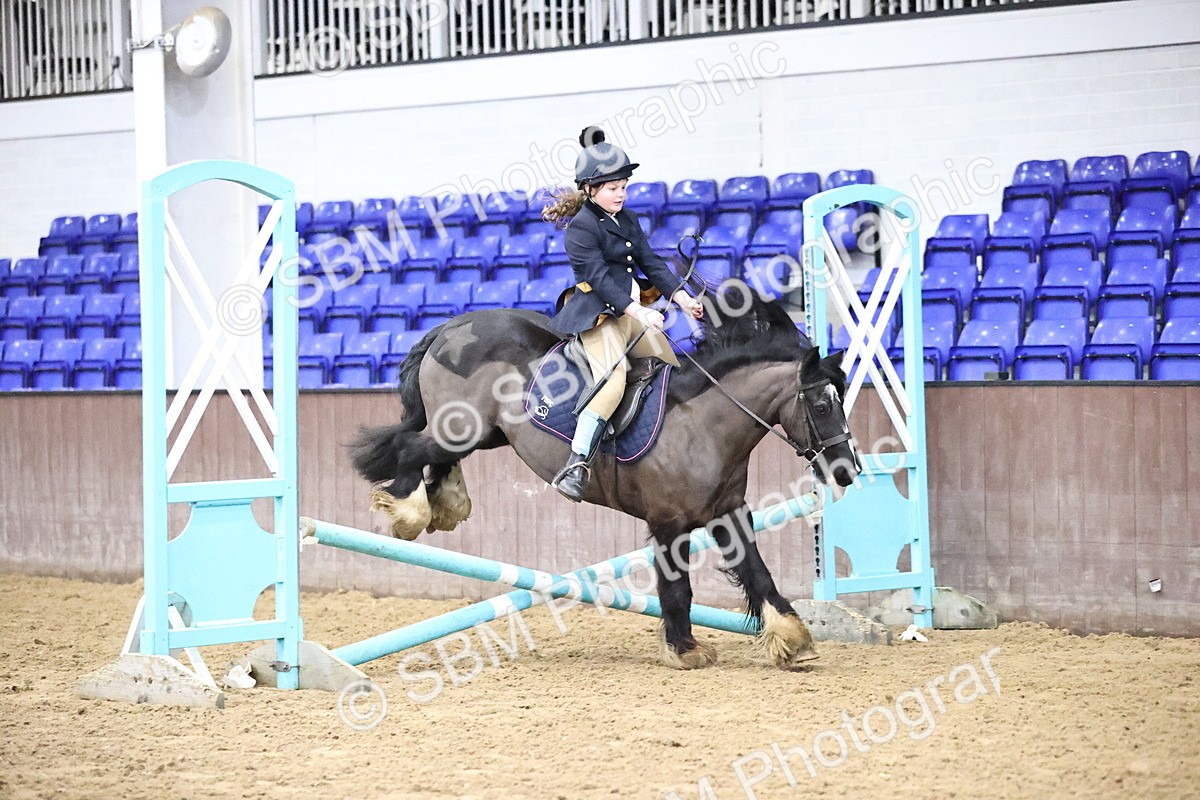 SBM_000110 - class 1 - 40cm